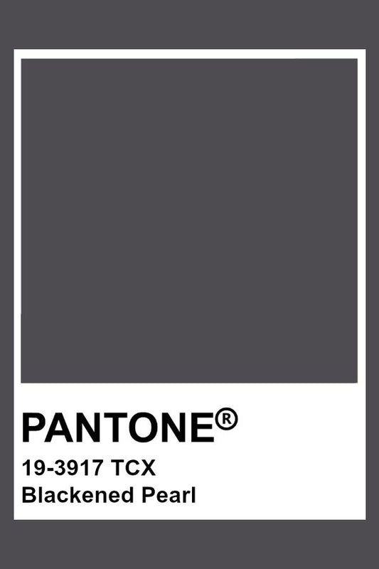 Repreve Endurance 2022 - Dark Pearl Gray