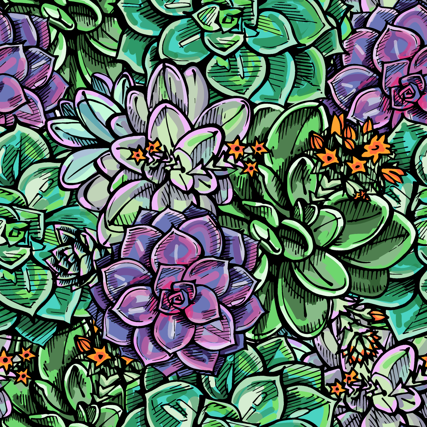 2025R2 - Graffiti Succulents (Larger than previous version)