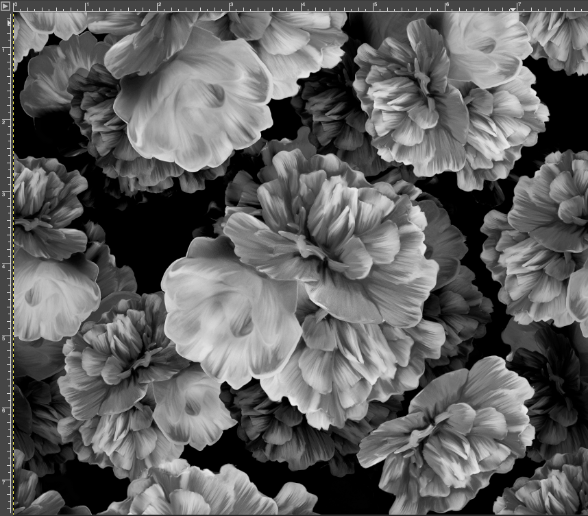 2024R1 - Monochrome Peonies (Smaller Scale)