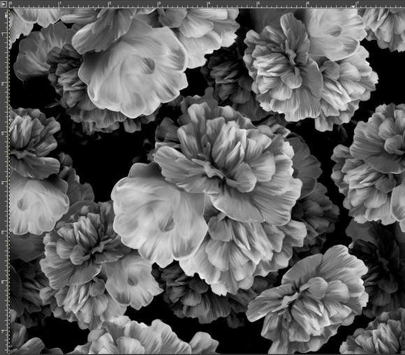 2024R1 Prints PreOrder - Monochrome Peonies (Smaller Scale)